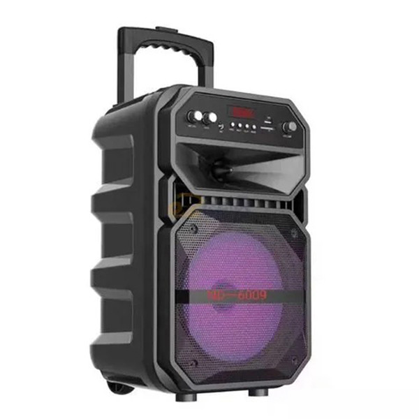 W-6009-8 Inch High-Power Rechargeable Speaker
